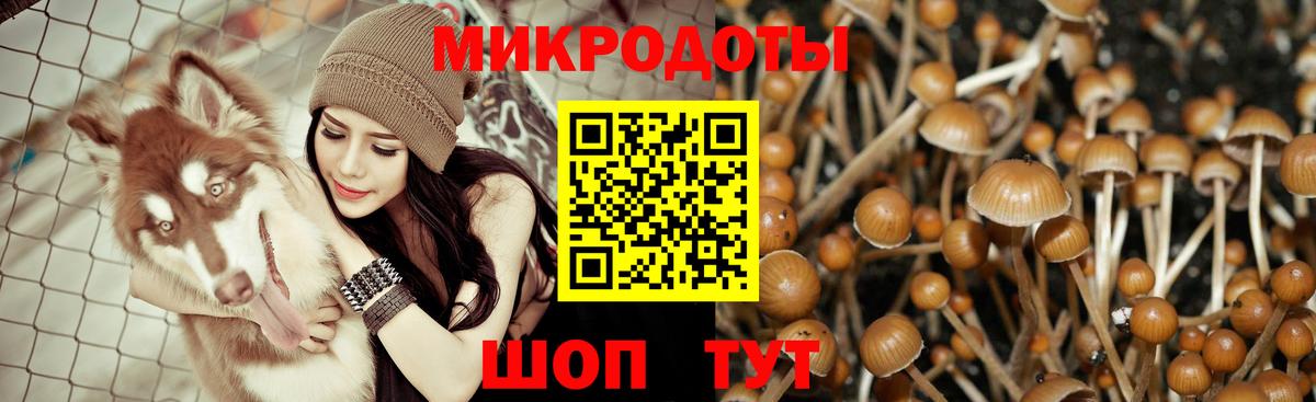 Новочеркасск  Псилоцибиновые грибы Cubensis  Вход с VPN 